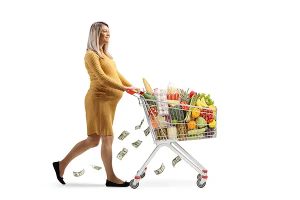 Vollständige Profilaufnahme Einer Schwangeren Frau Die Einen Einkaufswagen Mit Lebensmitteln — Stockfoto