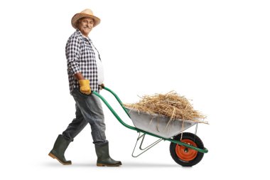 Yetişkin bir çiftçinin beyaz arka planda izole edilmiş bir saman yığınıyla el arabasını iterken tam boy profil çekimi.