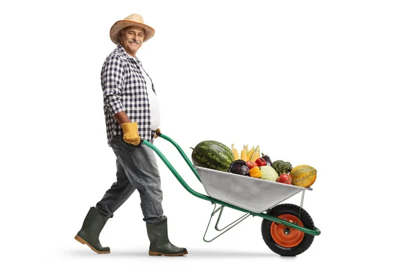 Full Length Profile Shot Mature Farmer Pushing Wheelbarrow Pile Fruits — Stock Photo, Image