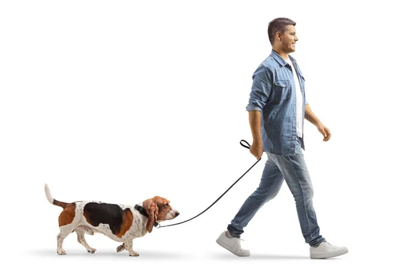 Full Length Shot Young Man Walking Basset Hound Dog Lead — Stock Photo, Image
