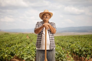 Mature farmer leaning on a shovel on a vineyard