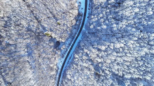 Pássaro Vista Tiro Uma Estrada Montanha Inverno Com Árvores Cobertas — Fotografia de Stock