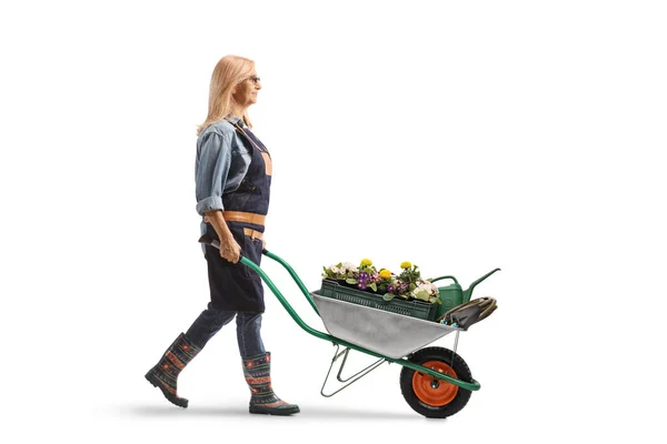 一个女园丁推着一个带有植物和花朵的独轮车在白色背景下行走的全景照片 — 图库照片