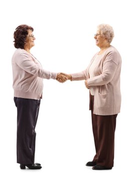 İki yaşlı kadının beyaz arka planda el sıkışırken tam boy profil çekimi.