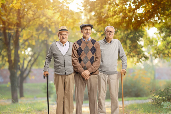 Senior men standing in a park with canes 