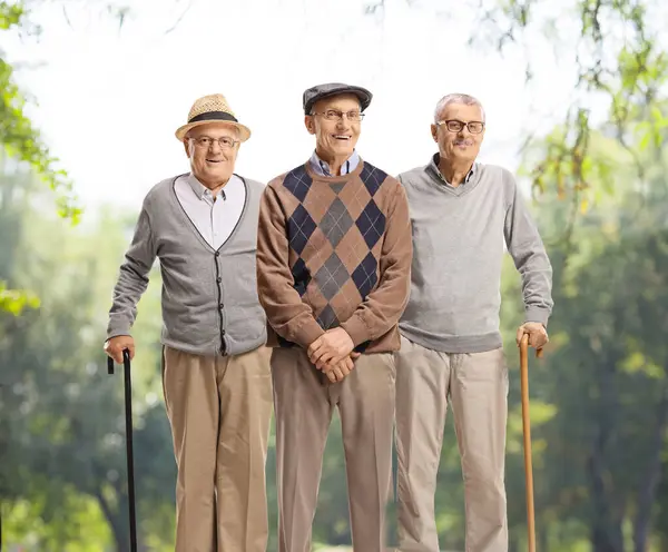 Drei Ältere Männer Stehen Draußen Hintergrund Bäume Einem Park Stockbild