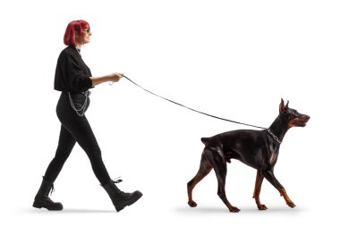 Kızıl saçlı bir kadının beyaz arka planda izole edilmiş bir dobaerman pinscher köpeğini gezdirdiği uzun bir profil fotoğrafı.