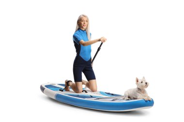 Dalış kıyafetli bir kadın ve beyaz arka planda izole edilmiş bir yemek masasında diz çökmüş bir köpek.