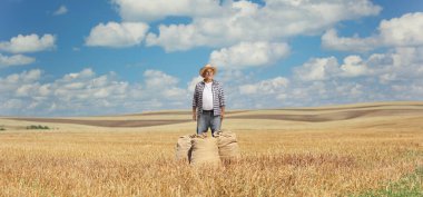 Güneşli bir günde çuval beziyle buğday tarlasında olgun bir çiftçi.