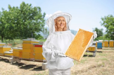 Kadın Honay yapımcısı arı çiftliğinde arı kovanı çerçevesi tutuyor.