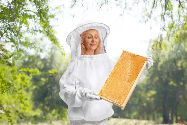 stock image Woman beekeeper holding a beehive frame outdoors