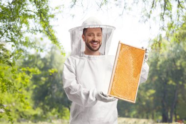 Üniformalı genç erkek arı bakıcısı dışarıda bal peteği tutuyor.