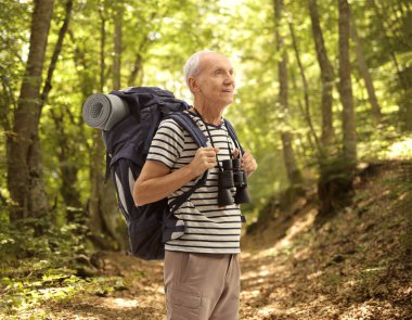Yaşlı yürüyüşçü ormanda dikilip ağaçlara bakıyor.