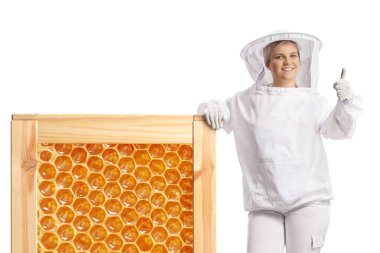 Üniformalı genç bir kadın arı bakıcısı bal peteği çerçevesine yaslanıyor ve beyaz arka planda izole edilmiş işaret ediyor.