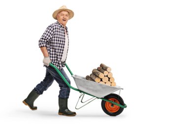 Yakacak odunlu el arabası süren ve beyaz arka planda sırıtan çiftçi.