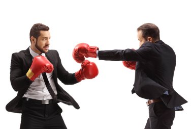Beyaz arka planda izole edilmiş boks eldivenleriyle dövüşen iş adamları