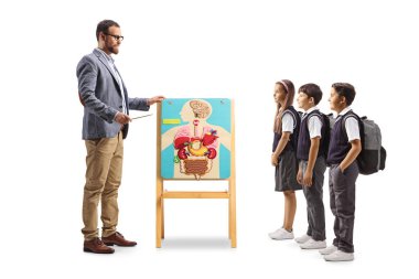 Beyaz arka planda izole edilmiş insan organları hakkında çocuklara ders veren biyoloji öğretmeni