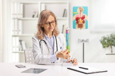 Ofisteki kadın ortopedi doktoru bir insanın omurga modeline bakıyor. 
