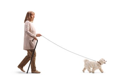 Bastonlu yaşlı bir kadının beyaz arka planda izole edilmiş bir köpeği gezdirişinin tam boy profil fotoğrafı.