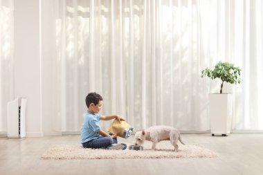 Çocuk halının üzerinde oturuyor ve evde bir köpeği besliyor.