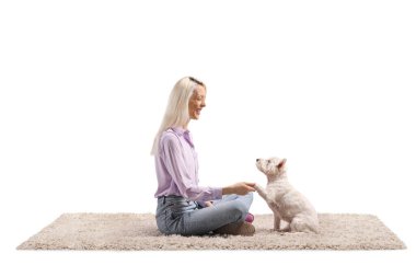 Halıda oturan ve beyaz arka planda soyutlanmış bir şekilde bir teriyer köpeğine merhaba demek için eğiten kadın.