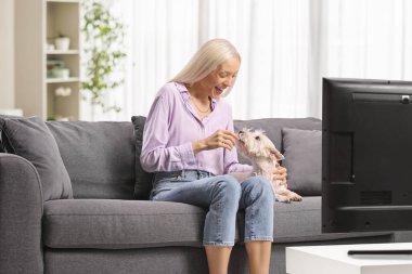 Kanepede oturan ve batılı bir teriyerle oynayan bir kadın. 