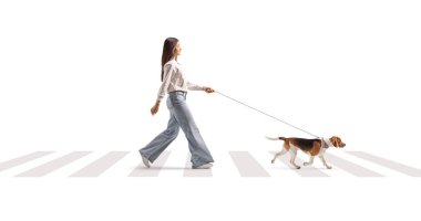 Beyaz arka planda izole edilmiş bir av köpeğiyle karşıdan karşıya geçen genç kız.