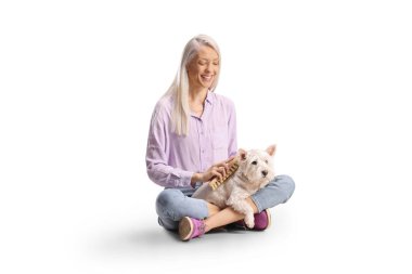 Beyaz arka planda izole edilmiş, batılı bir teriyeri köpeğini fırçalayan kadın.