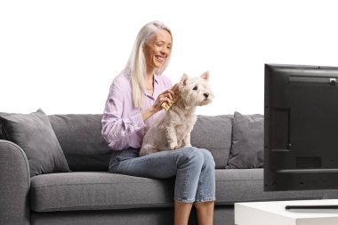 Kanepede oturan ve beyaz arka planda izole edilmiş bir şekilde televizyonun önünde teriyer köpeği fırçalayan bir kadın.