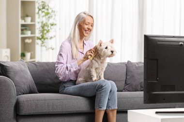 Kanepede oturan ve evdeki teriyer köpeğini fırçalayan kadın.