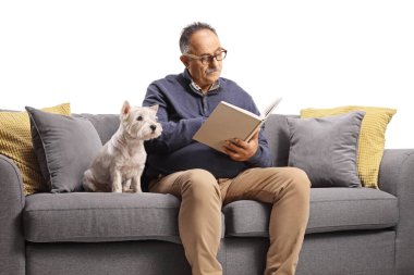 Kanepede oturan ve beyaz arka planda izole bir kitap okuyan, ıslak teriyer köpeği olan olgun bir adam.