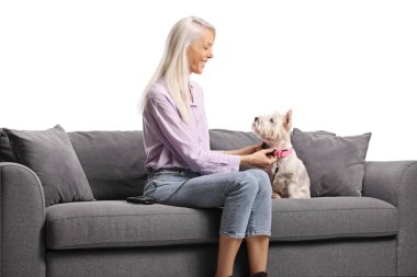 Kanepede oturan bir kadın beyaz arka planda izole edilmiş batılı bir teriyerin köpeğine tasma takıyor.