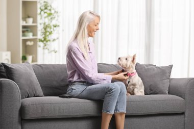 Kanepede oturan ve batılı bir teriyerin köpeğine tasma takan kadın. 