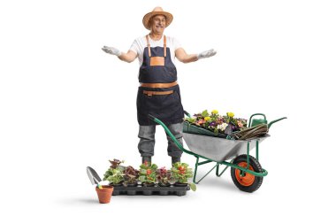 Beyaz arka planda el arabası ve bitkilerle poz veren mutlu olgun bahçıvan.