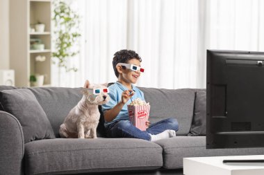 Kanepede oturan bir çocuk ve bir köpek 3 boyutlu gözlüklü televizyon izleyip patlamış mısır yiyorlar. 