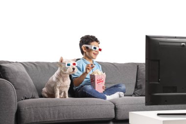 Kanepede oturan bir çocuk ve bir köpek beyaz arka planda 3 boyutlu gözlüklerle televizyon izliyorlar.