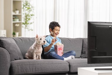 Patlamış mısır yiyen ve köpeğiyle televizyon izleyen bir çocuk.