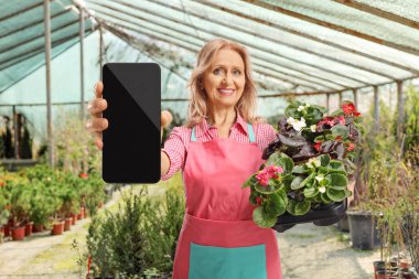 Seranın içinde akıllı telefon gösteren bir kadın.