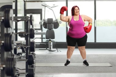 Spor salonunda boks eldivenli şişman bir kadın.