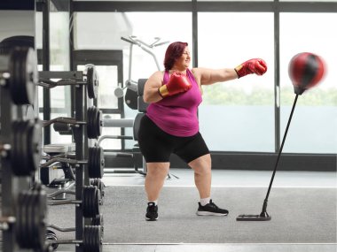 Spor salonunda panç standı olan bir kadın eğitim kutusu, kilo verme konsepti.