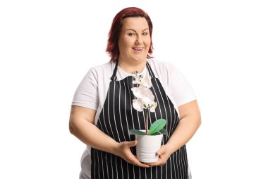 Beyaz arka planda beyaz bir orkide tutan önlüklü bir kadın.