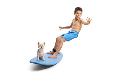 Beyaz arka planda mavi sörf tahtasına binen köpeği olan bir çocuk.