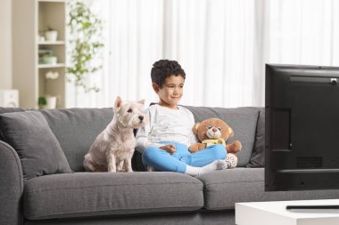 Pijamalı küçük çocuk bir kanepede oyuncak ayıyla oturuyor ve Westie Terrier köpeğiyle televizyon seyrediyor.