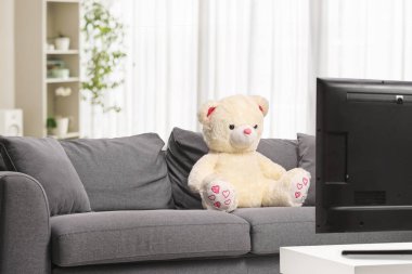 Oturma odasındaki televizyonun önündeki gri kanepede oturan beyaz ayıcık.