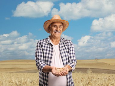 Tarlada buğday tutan ve gülümseyen mutlu bir çiftçi. 