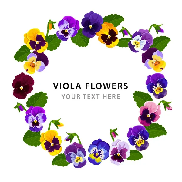 紫罗兰花 花的框架 春季明信片设计的花卉模板 白色背景上的矢量图像 免版税图库插图