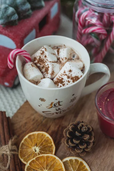 热可可杯加棉花糖和姜饼饼干圣诞生态装饰 — 图库照片