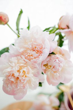 Bouquet of pink peonies. Spring mood at home. Cosy.