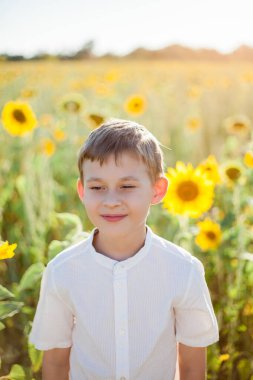 Little cute boy 8 years old in a sunflower field. Portrait of a happy child.