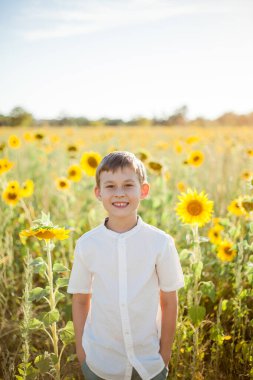 Little cute boy 8 years old in a sunflower field. Portrait of a happy child.